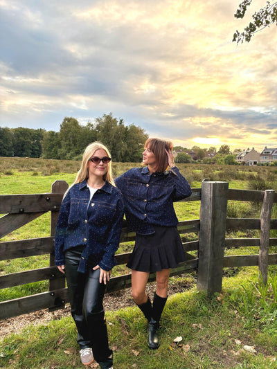 Skye denim blouse