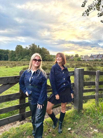 Skye denim blouse